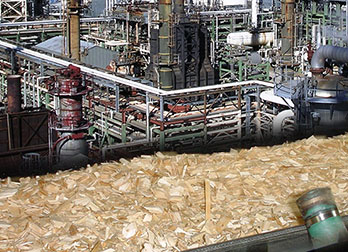 Oil Plant Project